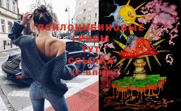 стафф Беломорск