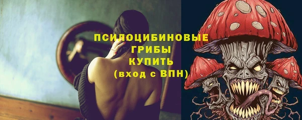 стафф Беломорск