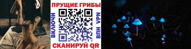 omg ссылка  Ярославль  Псилоцибиновые грибы прущие грибы  купить закладку 